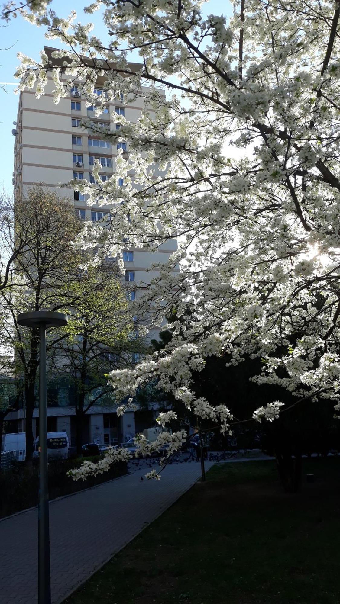 The Best Location Accommodation Βουκουρέστι Εξωτερικό φωτογραφία