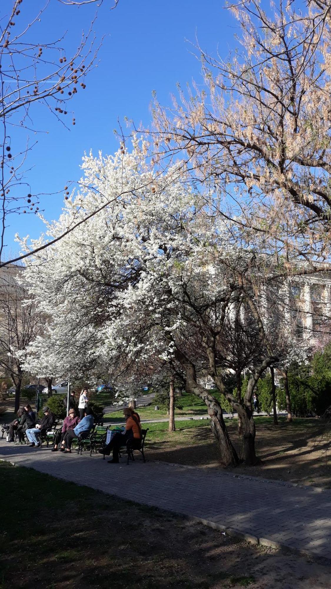 The Best Location Accommodation Βουκουρέστι Εξωτερικό φωτογραφία