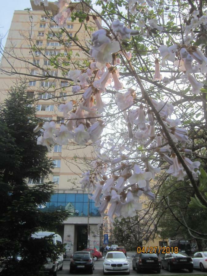 The Best Location Accommodation Βουκουρέστι Εξωτερικό φωτογραφία